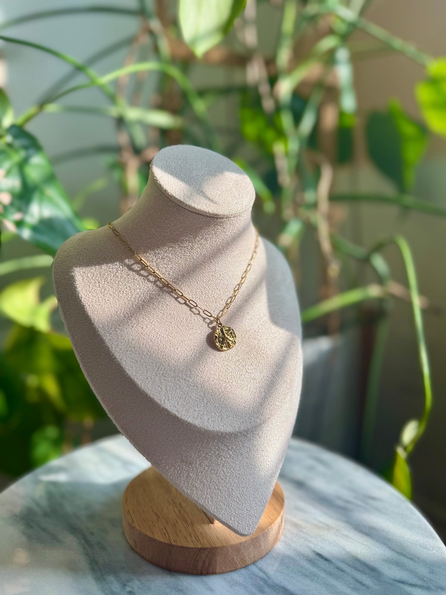 Sand Dollar + Paperclip Chain