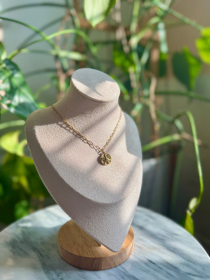 Sand Dollar + Paperclip Chain