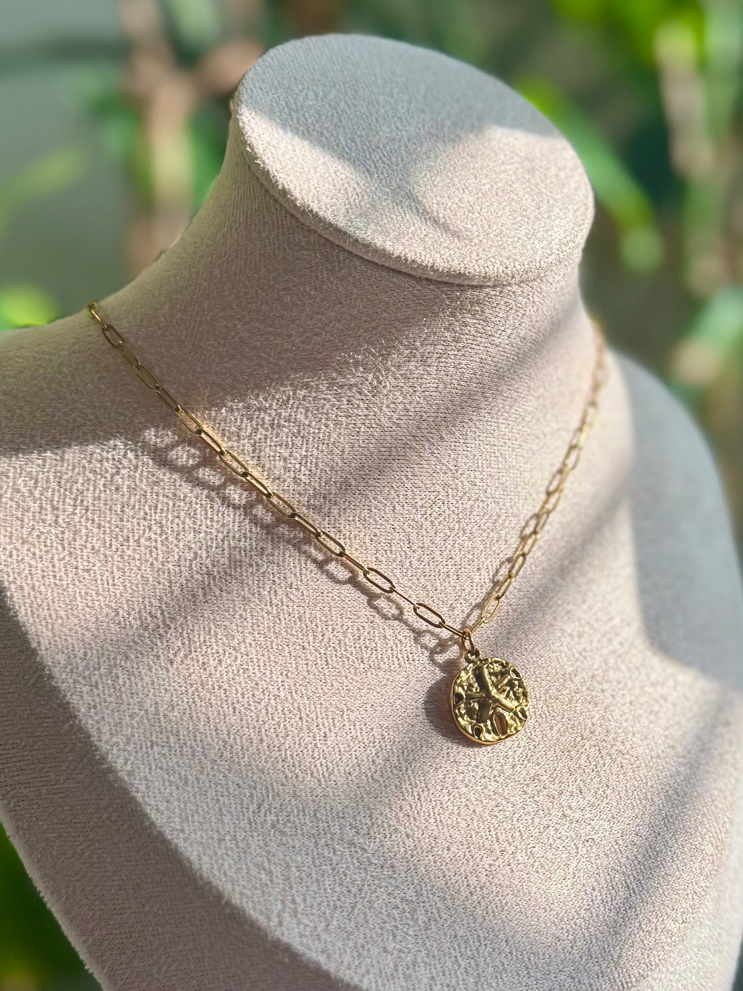 Sand Dollar + Paperclip Chain