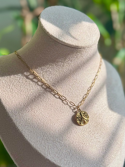 Sand Dollar + Paperclip Chain