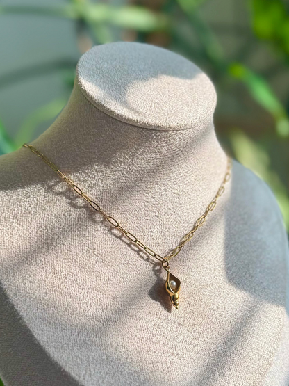 Pearl Conch + Paperclip Chain