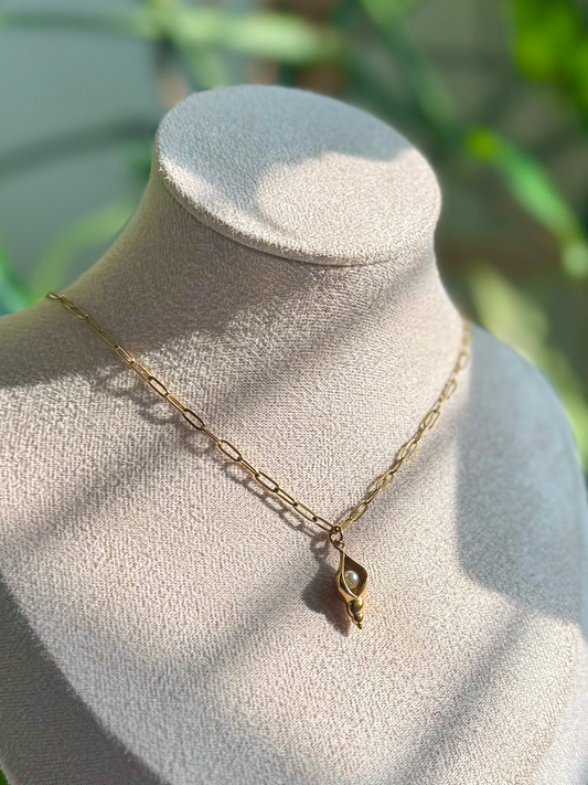 Pearl Conch + Paperclip Chain